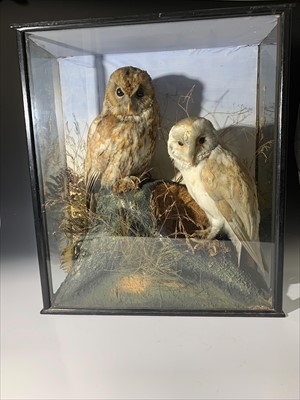 Lot 298 - A late 19th/early 20th century taxidermy study...