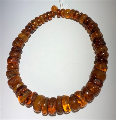 Lot 2624 - An amber necklace consisting of graduated disc...
