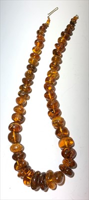 Lot 2618 - An amber necklace consisting of graduated...