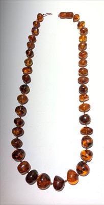 Lot 2620 - An amber necklace consisting of graduated...