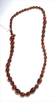 Lot 2600 - A cherry amber graduated bead necklace, length...
