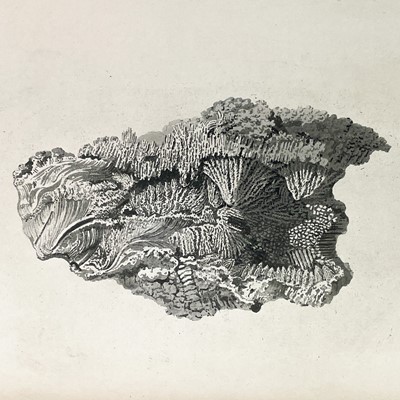 Lot 12 - Philip Rashleigh (1729-1811). 'Specimens of British Minerals,'