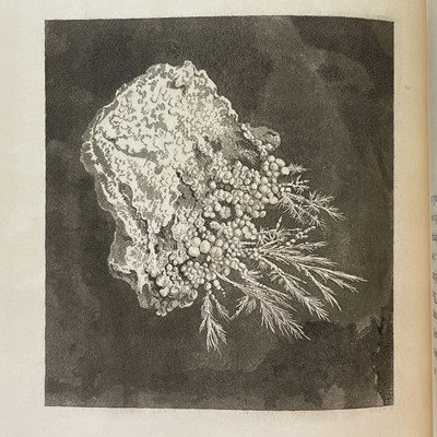 Lot 12 - Philip Rashleigh (1729-1811). 'Specimens of British Minerals,'