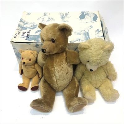 Lot 600U - Teddy Bear